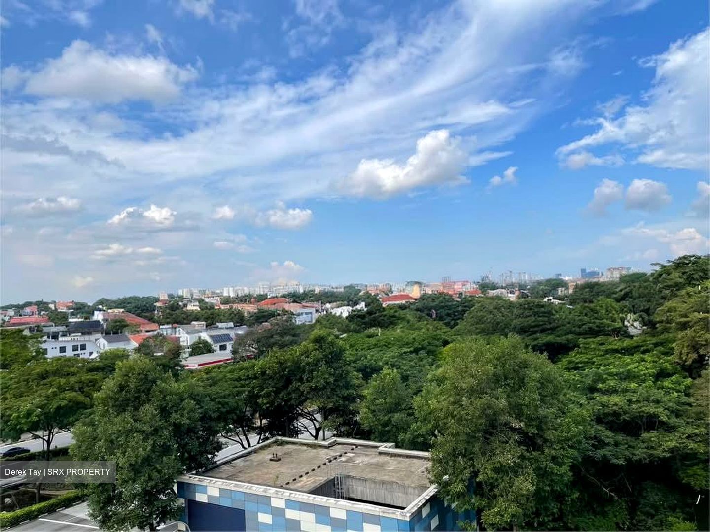 Fourth Avenue Residences (D10), Apartment #572554431